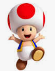 Toad