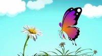 Mathseeds Butterfly