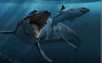 Mosasaurus