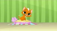 Mathseeds Kitten