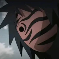 The Person who asked
