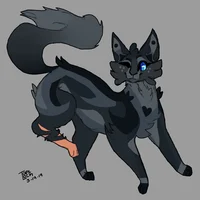 Cinderpelt