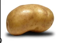 Potato