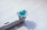 Ginnys Toothbrush