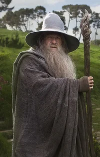 Gandalf the Grey