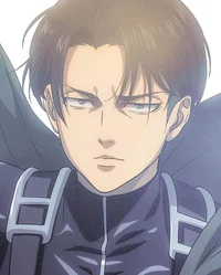 Levi Ackerman -p-