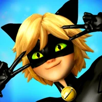 Cat noir 