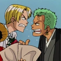 Zoro and sanji