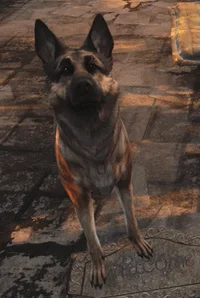 Dogmeat
