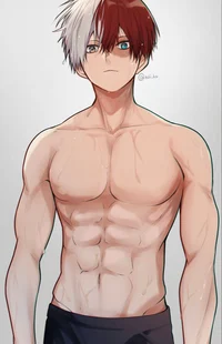 Todoroki Shoto 