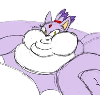 Fat Blaze The Cat