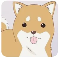 SurnTheDog