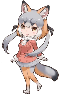Island Fox