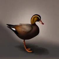 Duck hitman
