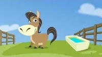 Mathseeds Foal