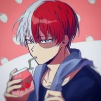 Shoto Todoroki