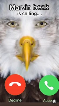 Marvin Beak