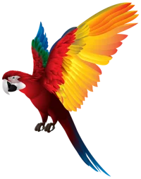 Parrot