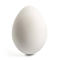 Unbreakable Egg
