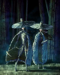 The sisters