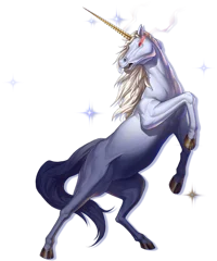 Unicorn