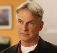Leroy Jethro Gibbs