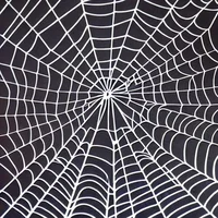 Wilbert the spider