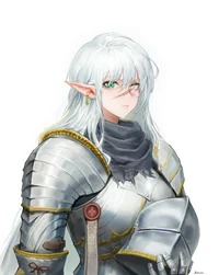Elf Knight