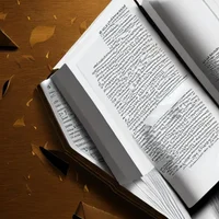 -Diccionario espanol