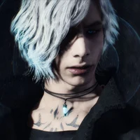 V DMC5