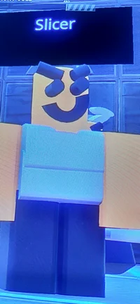 Slicer 