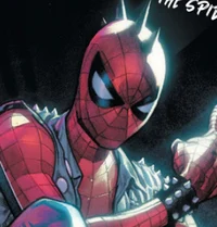 Spider-Punk