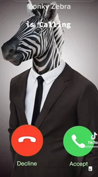 Zonky Zebra