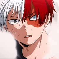 shoto todoroki 