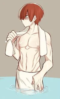 Shoto Todoroki