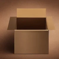 Cardboard Box