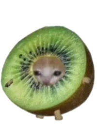 Kiwi
