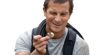 Bear Grylls