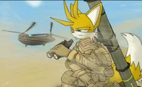Tails militar serio