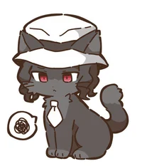 cat