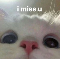 _Suzan_