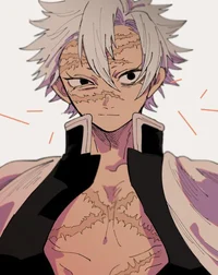 Sanemi shinazugawa 