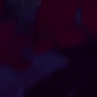 -Honkai Star Rail RP