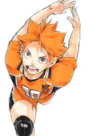 Hinata Shoyo