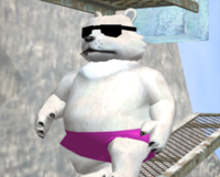 Polar Bear IceClimb