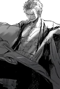 Zoro is your husband
