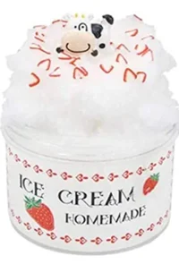 Homemade Ice-cream s