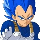 Vegeta FN