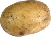 Potato