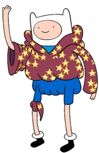 Wizard Finn